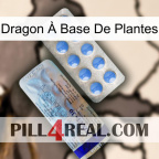 Dragon À Base De Plantes 39